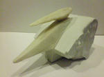 NEC_0347.JPG