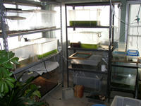 PC170169.JPG