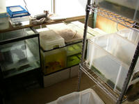 PC170170.JPG