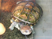 PC120116.JPG