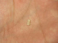 d8488f32.JPG