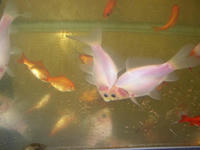 f7954d08.JPG