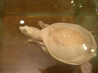 ae7894c1.JPG