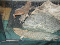 5ac97500.JPG