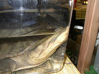 408cc6cd.JPG