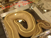 8221ec4c.JPG