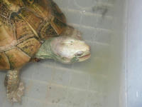 730e7952.JPG