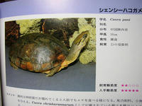 P1010155.JPG