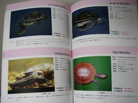 f31f5810.JPG