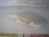 6d88c847.JPG