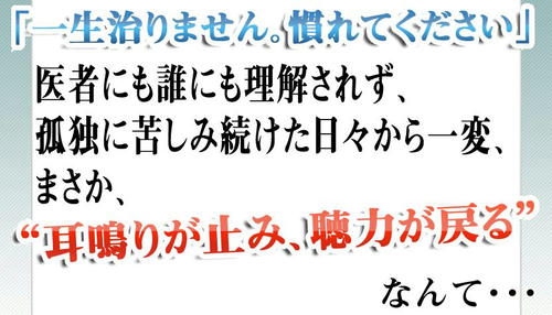 20101029161815.jpg