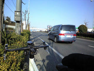 CA391491.JPG