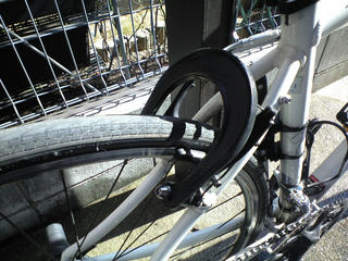 CA391502.JPG