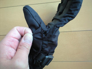 CA391510.JPG