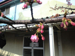 CA391552.JPG