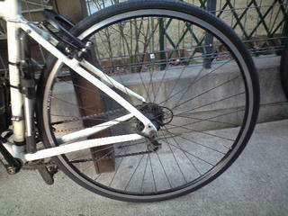 CA391556.JPG