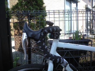 CA391704.JPG