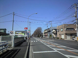 CA391719.JPG