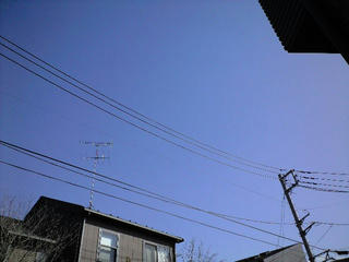 CA391720.JPG
