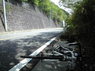 CA392127.JPG