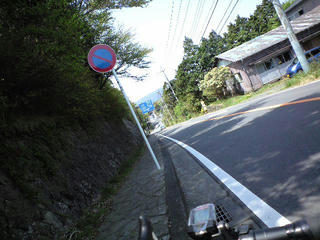 CA392129.JPG