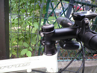 CA392439.JPG