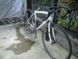 CA392440.JPG