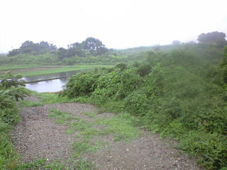 CA392448.JPG