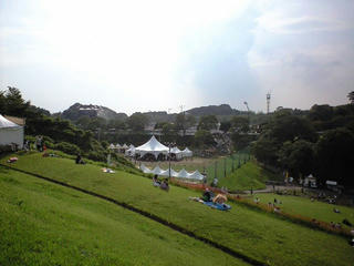 CA392703.JPG