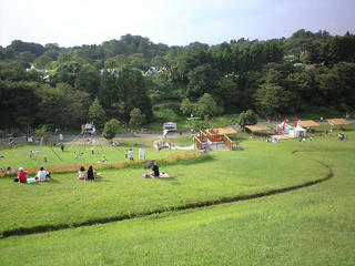CA392704.JPG