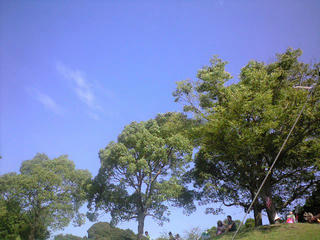 CA392755.JPG
