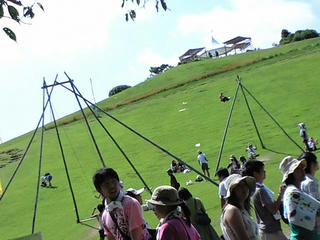 CA392756.JPG