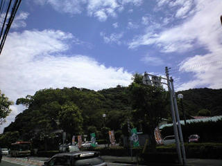 CA392991.JPG