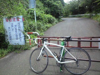 CA392995.JPG