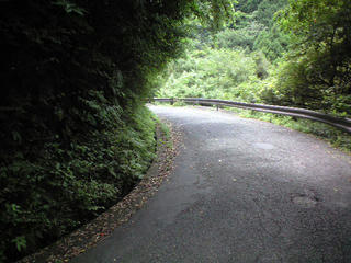 CA392997.JPG