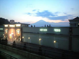 CA393132.JPG