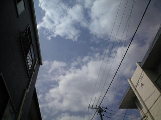 CA393363.JPG