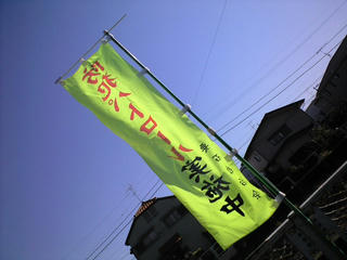 CA393803.JPG