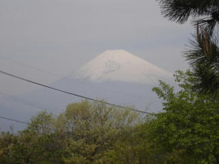 DSC02222.JPG