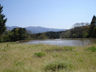 DSC02208.JPG