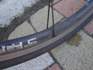 DSC02213.JPG