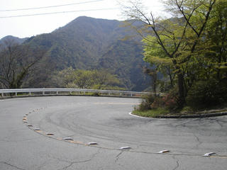 DSC02229.JPG