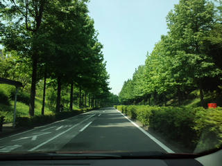 CA3F0323.jpg