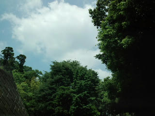 CA3F0334.jpg