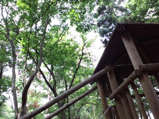 CA3F0353.jpg