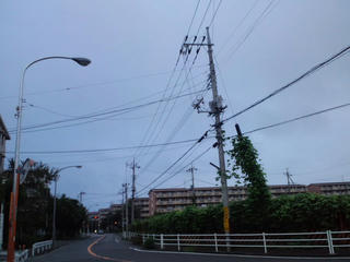 d57c3a45.jpg
