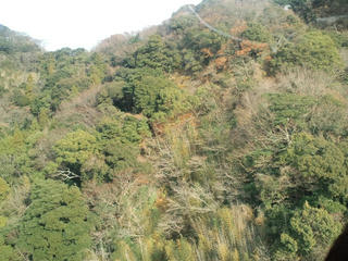 CA3F1078.JPG