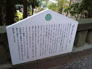 CA3F1080.JPG