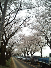 CA3F0218.JPG