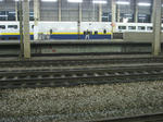 IMG_1755.jpg